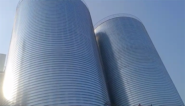 班戈2座混凝土高架卷板仓